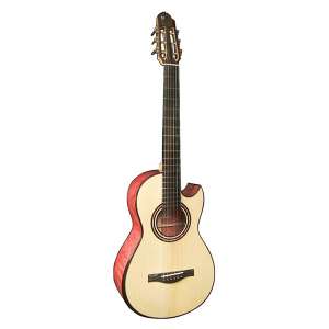 Parlour Guitars