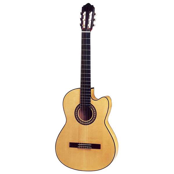 Flamenco Guitars