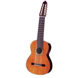 Classic 10 String Guitars