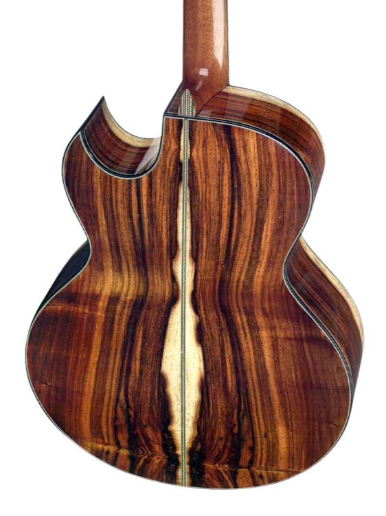 brazilian back maingard guitar